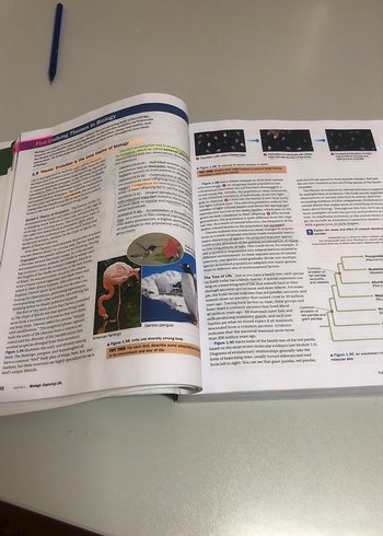 Campbell Biology 10. Baskı Global Edition - Görsel 3