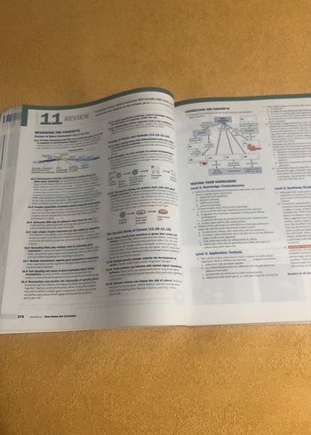 Campbell Biology - Görsel 4