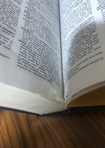 Oxford American Dictionary - Görsel 8