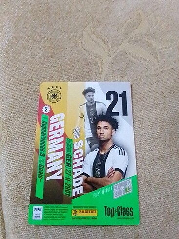  Schade değerli kart