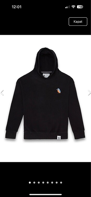 wwf hoodie