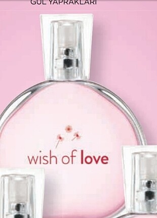 Wish of love 