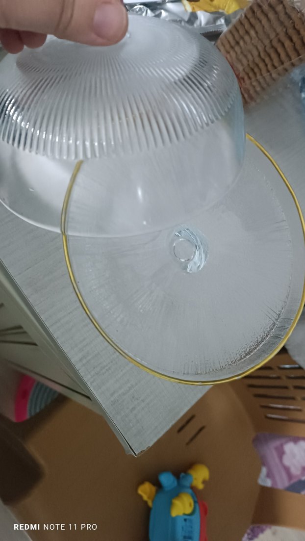 Renkli Cam Kapaklı Fanus,kutulu - Görsel 2