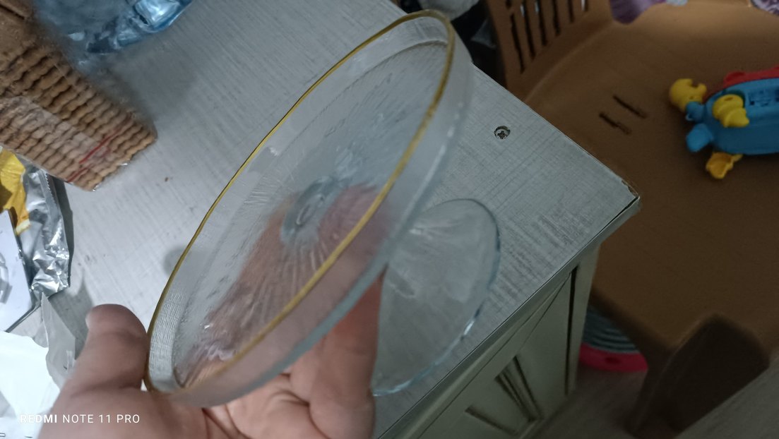 Renkli Cam Kapaklı Fanus,kutulu - Görsel 5