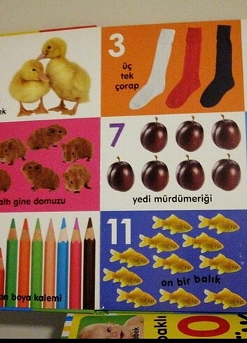 Diğer İlk 100 sayı 