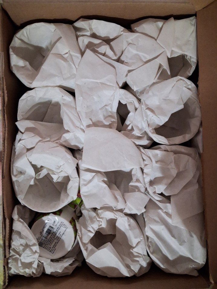 mudo kupa - Görsel 2