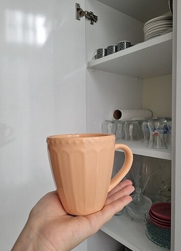Kupa bardak