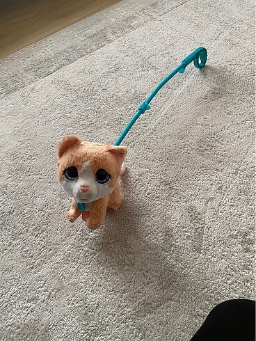 FRANSADAN ALINMIS SES CIKARAN KEDI HASBRO
