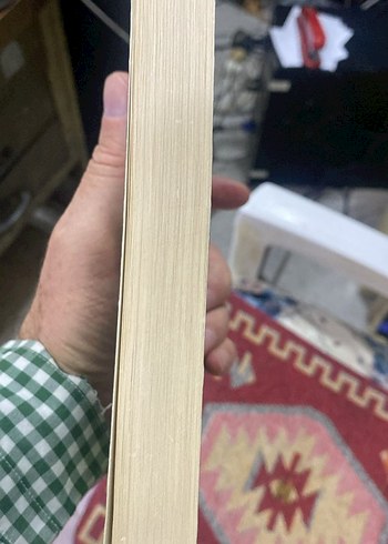 Eğitimde Rehberlik Hizmetleri Kitabı binnur yeşilyaprak - Görsel 2