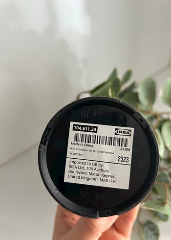 Ikea Yeşil ve Gri Yapraklı Sarkık Bitki