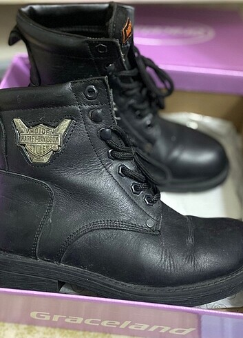 37 Beden Harley Davidson bot
