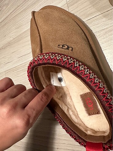 Ugg tazz