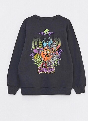 LC Waikiki Sweatshirt