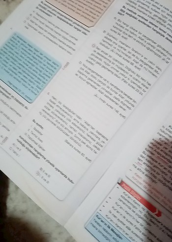 Beden Palme 6. Sınıf Din Kültürü ve Ahlak Bilgisi
