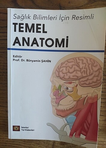 Temel Anatomi