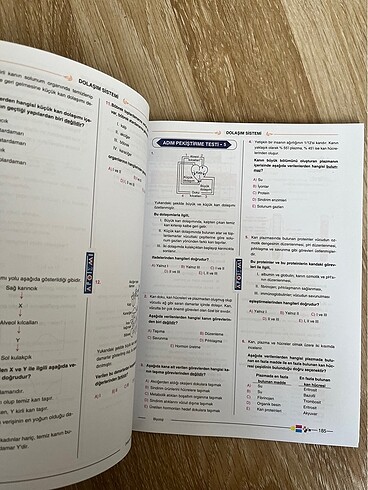 Beden Apotemi Biyoloji Sistemler Soru Bankası