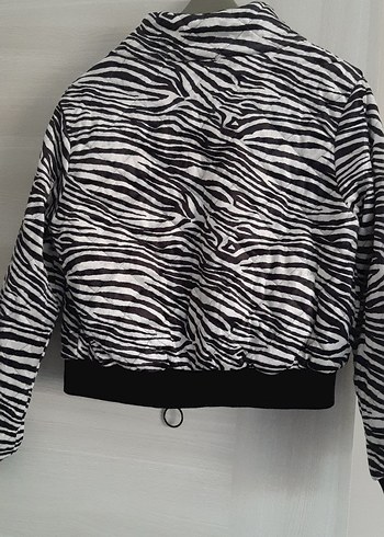 zebra mont - Görsel 4