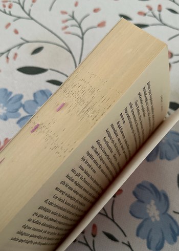 Dikenler ve Güller Sarayı - Sarah J. Maas - Görsel 3