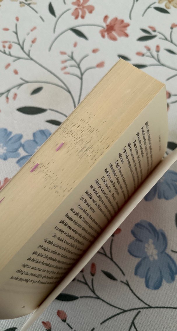 Dikenler ve Güller Sarayı - Sarah J. Maas - Görsel 3