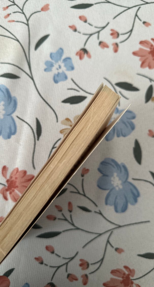 Açıklamalı İbadet Rehberi - Seyfettin Yazıcı - Görsel 3