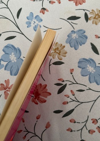 Elon Musk - Ahmet Seyrek Biyografi Kitabı - Görsel 3