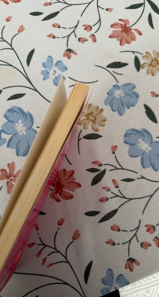 Elon Musk - Ahmet Seyrek Biyografi Kitabı - Görsel 3