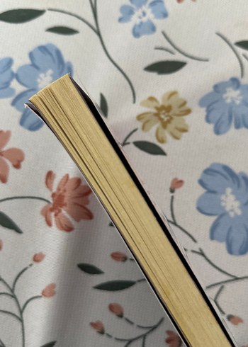 Paulo Coelho - Casus Roman - Görsel 3