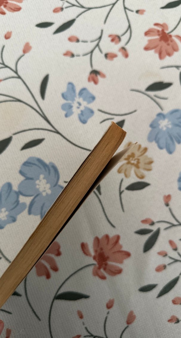 Stendhal / İtalya Hikayeleri - Görsel 3