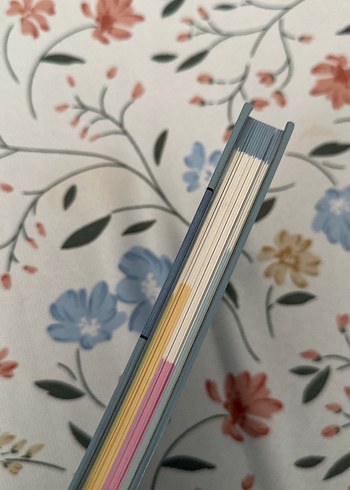 İnsan Hakları Kitabı - Temel Bilgiler ve Koruma - Görsel 3