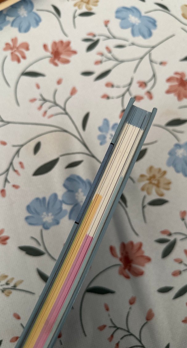 İnsan Hakları Kitabı - Temel Bilgiler ve Koruma - Görsel 3