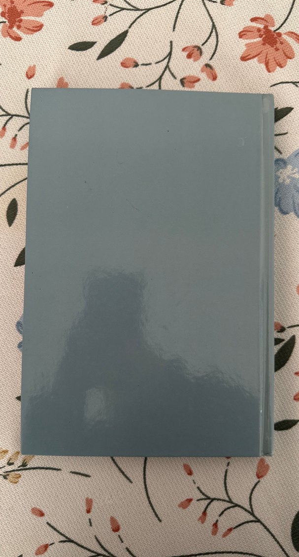 İnsan Hakları Kitabı - Temel Bilgiler ve Koruma - Görsel 2