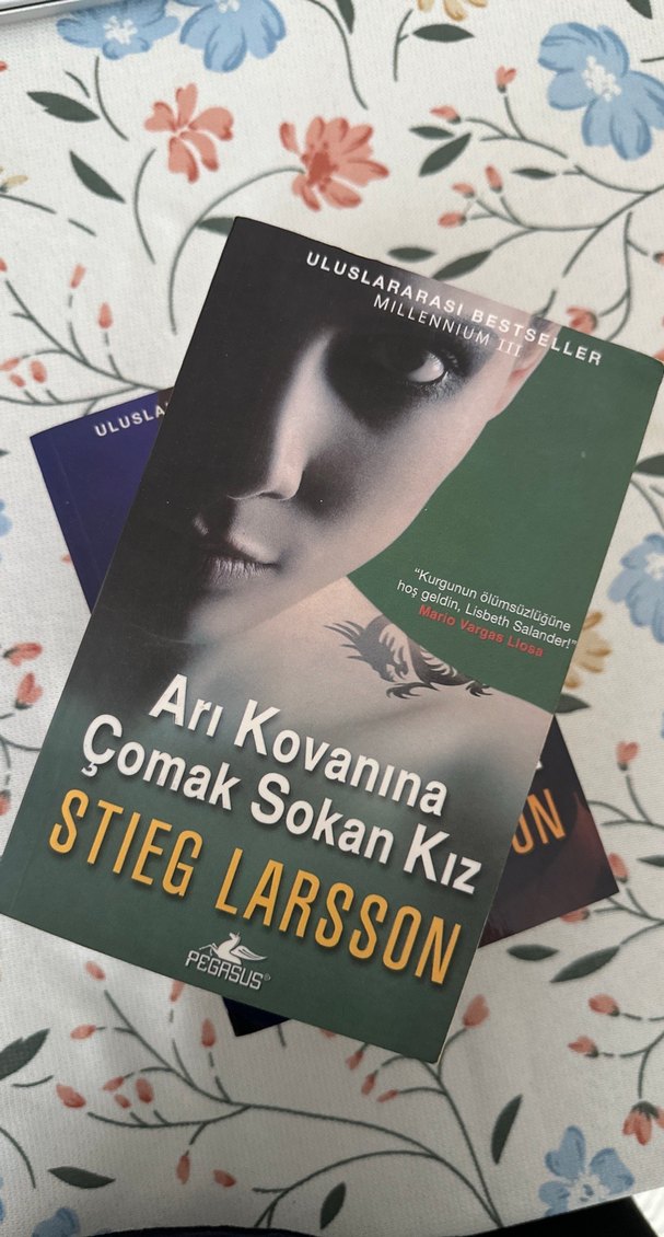 Stieg Larsson Millennium Serisi 3 Kitap - Görsel 4