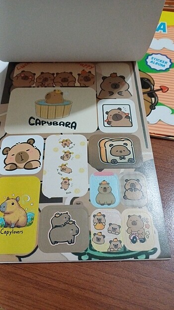 Beden Capybara albüm sticker