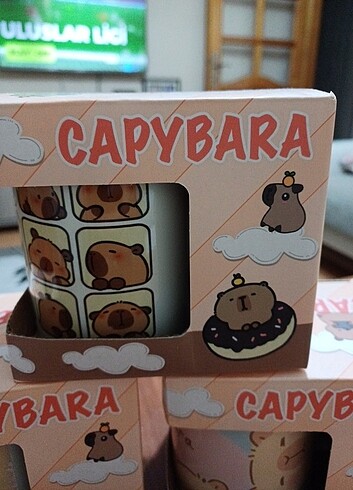 Capybara kupa