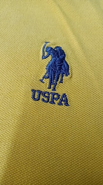 U.S Polo Assn. Erkek tişört 