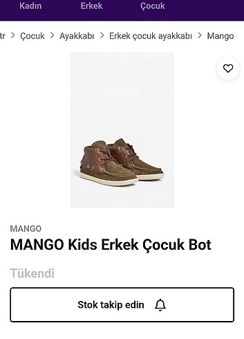 Mango Deri ve süet etiketi üzerinde Bot