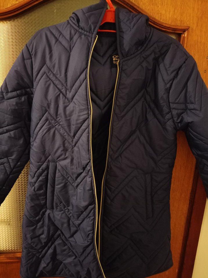 Kadın Mavi Parlak Fermuarlı Mont - Görsel 2