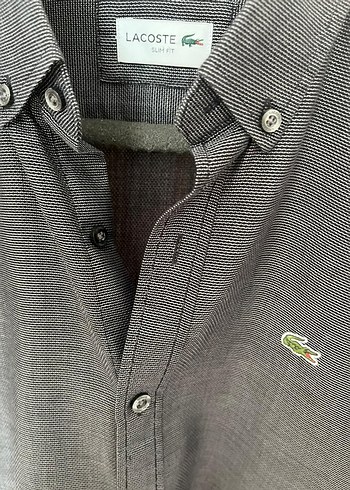 s Beden Lacoste Gri Düğmeli Erkek Keten Gömlek