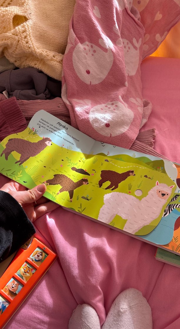 Çalışkan Hayvanlar - Çocuk Kitabıx2 - Görsel 3