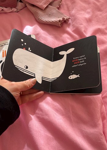 Bebekler İçin Renkler Kitabı - Görsel 4