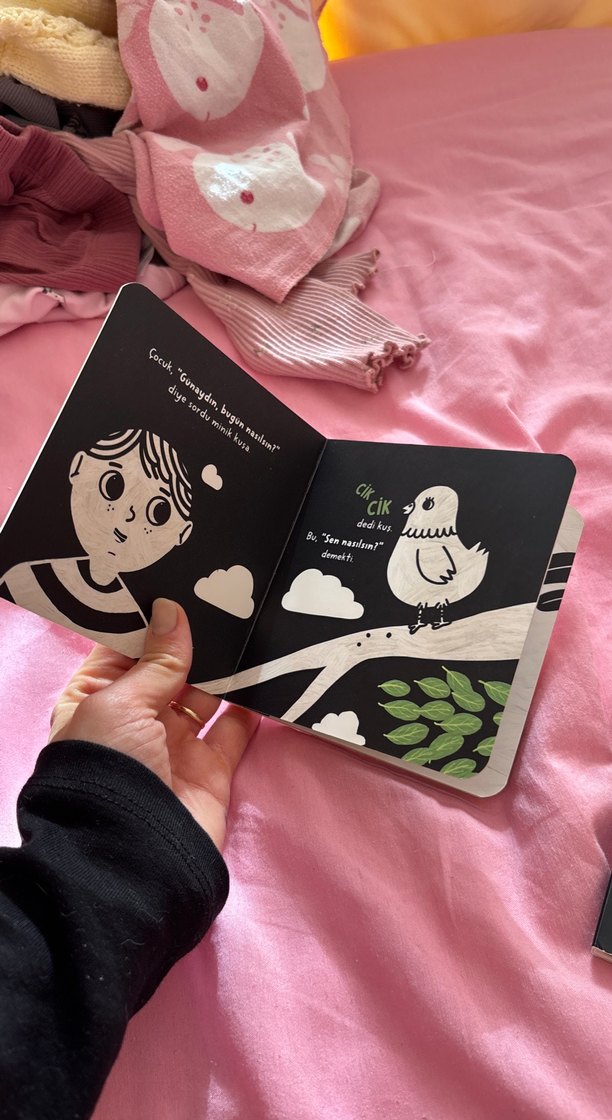 Bebekler İçin Renkler Kitabı - Görsel 5