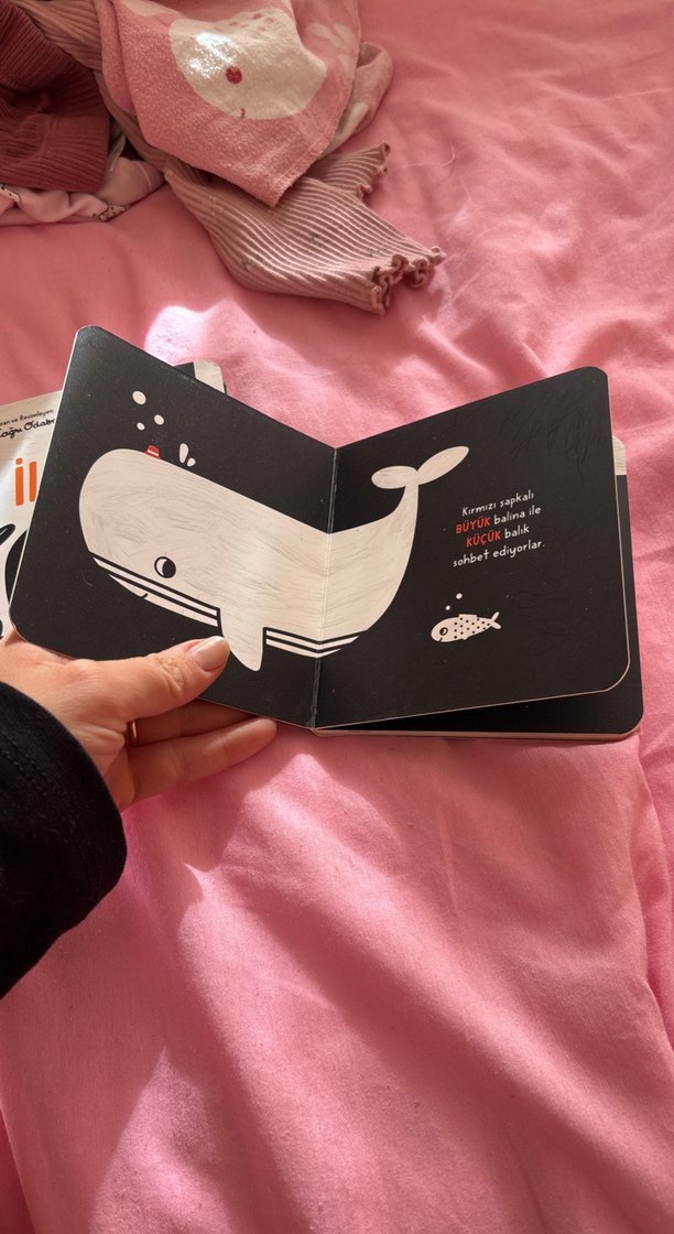 Bebekler İçin Renkler Kitabı - Görsel 4