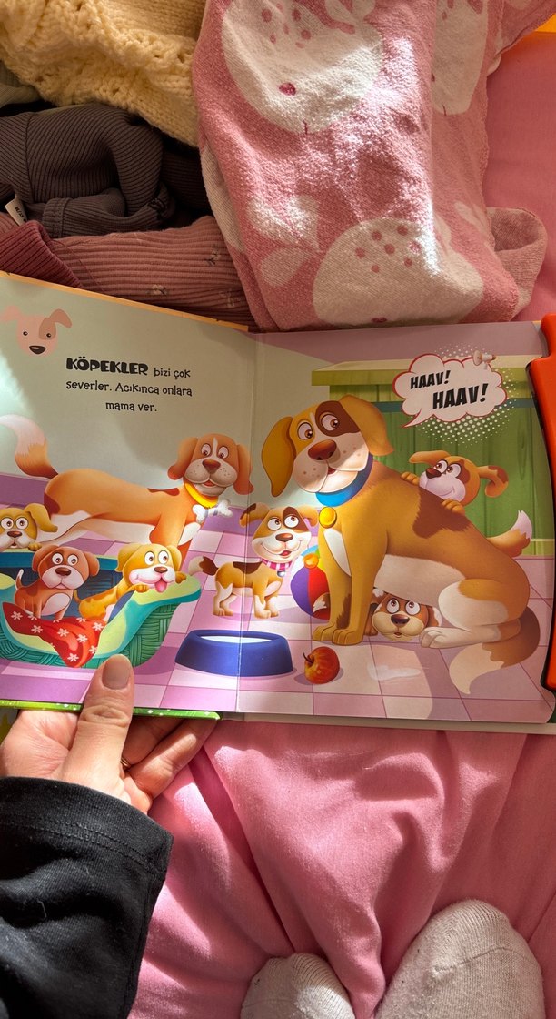 Evcil Hayvanlar Sesli Eğitim Kitabı - Görsel 2