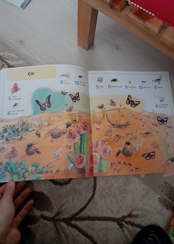 1001 şeyi bul - Görsel 7