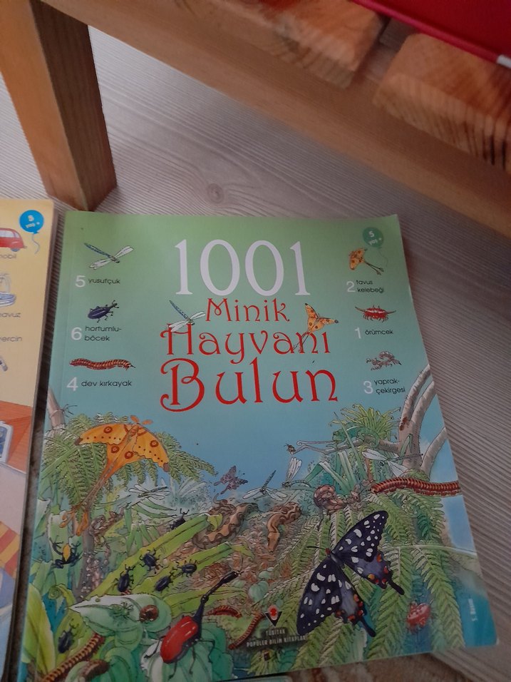1001 şeyi bul - Görsel 3