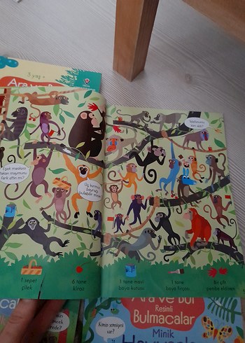 ara bul kitabı - Görsel 3