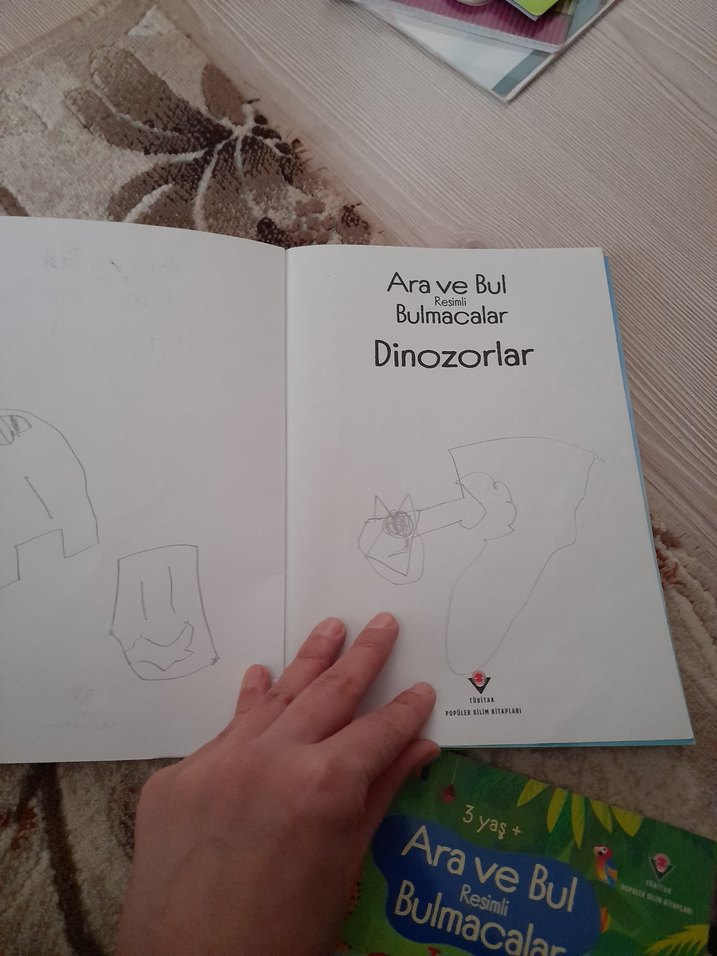 ara bul kitabı - Görsel 4