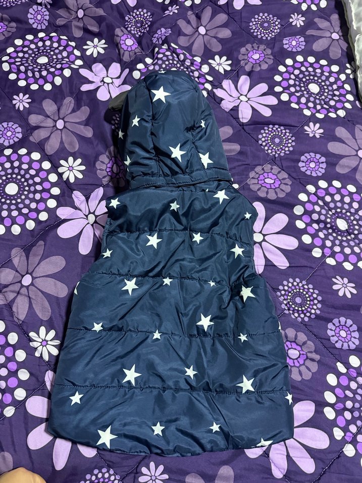 Kapüşonlu Fermuarlı Yıldızlı Yelek - Görsel 2