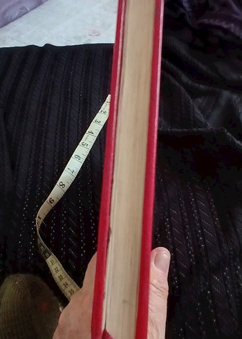 Asa-yı Musa - Said Nursi'den Risale-i Nur - Görsel 3