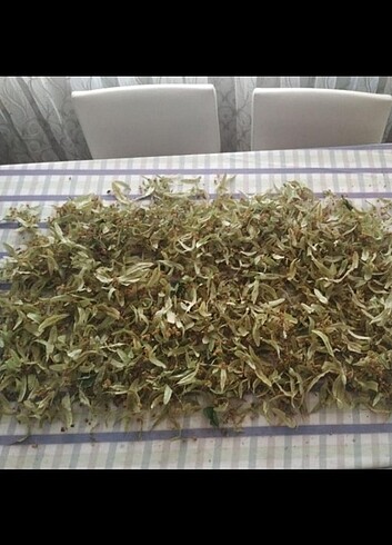 Diğer Ihlamur yeşil çay